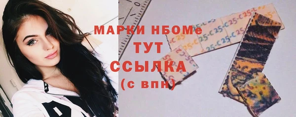 шишки Арсеньев
