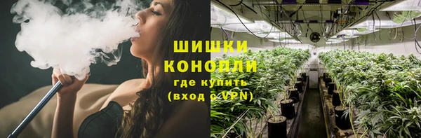 шишки Арсеньев